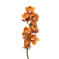 Orchid Cymbidium Orange (SINGLE STEM)