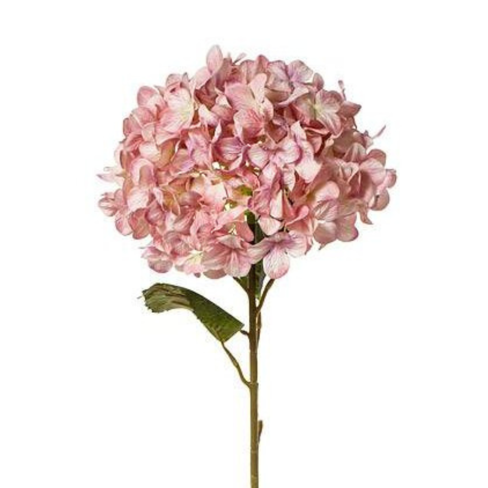 Hydrangea Pink (Single Stem)