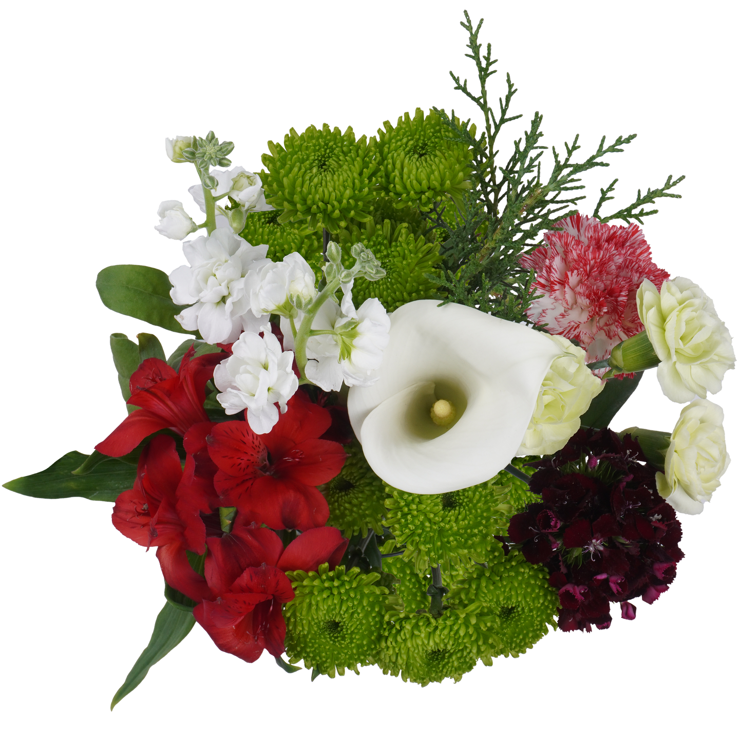 Snowbound Dreams Bouquet – Frosty Elegance and Cheer