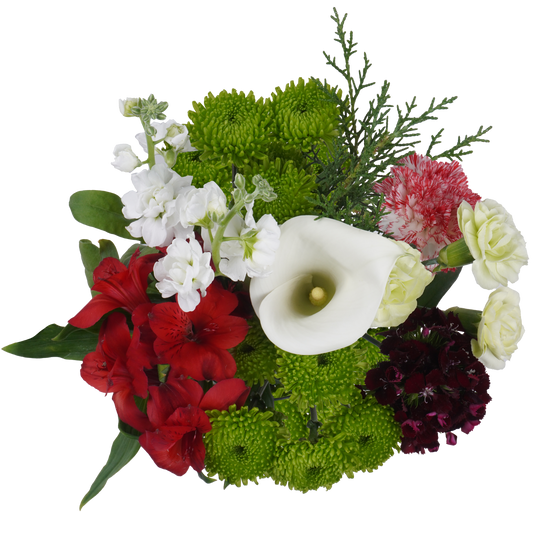 Snowbound Dreams Bouquet – Frosty Elegance and Cheer