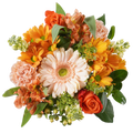 Tangerine Magic Bouquet – A Burst of Warm Joy